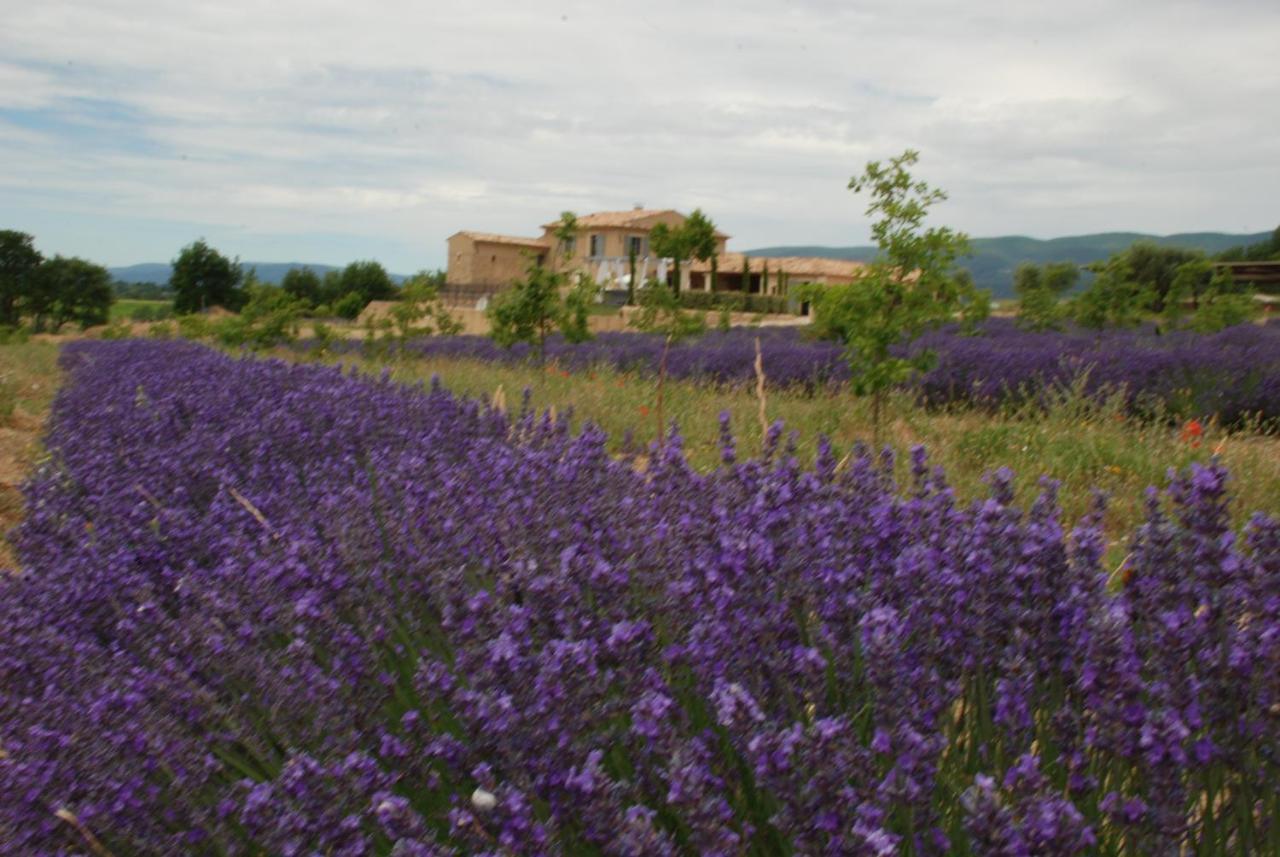 Bastide Saint Maurin Bed & Breakfast Ansouis ภายนอก รูปภาพ