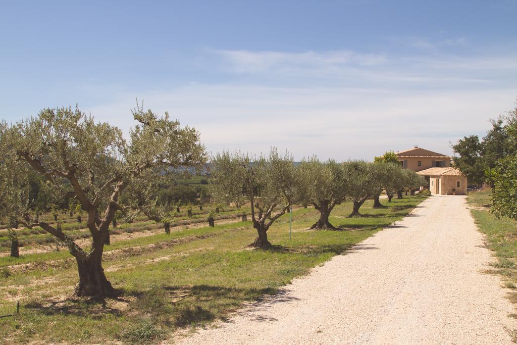 Bastide Saint Maurin Bed & Breakfast Ansouis ภายนอก รูปภาพ